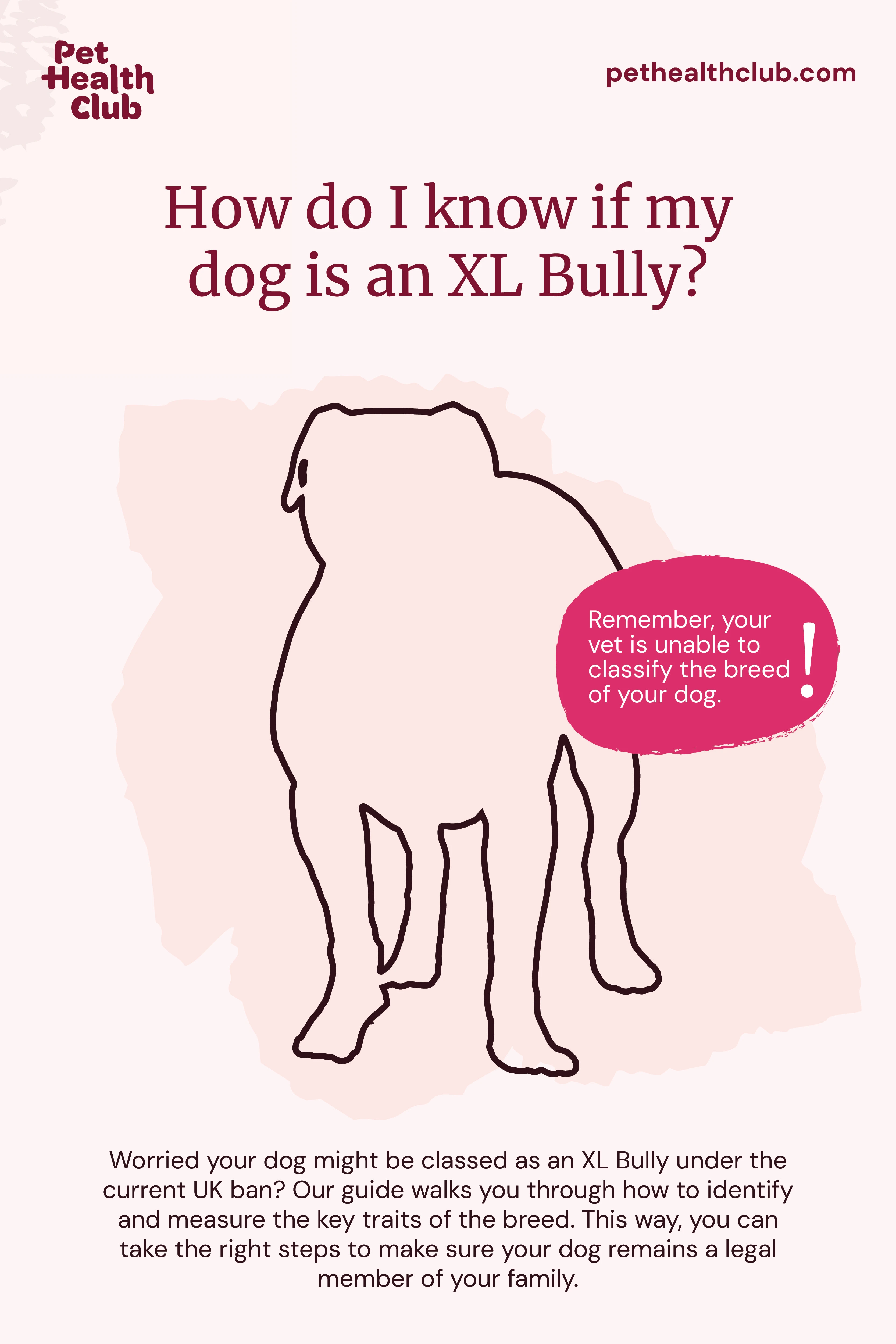 PHC XL Bully How do I know 800x1200 Web Infographic about XL Bully dog ban