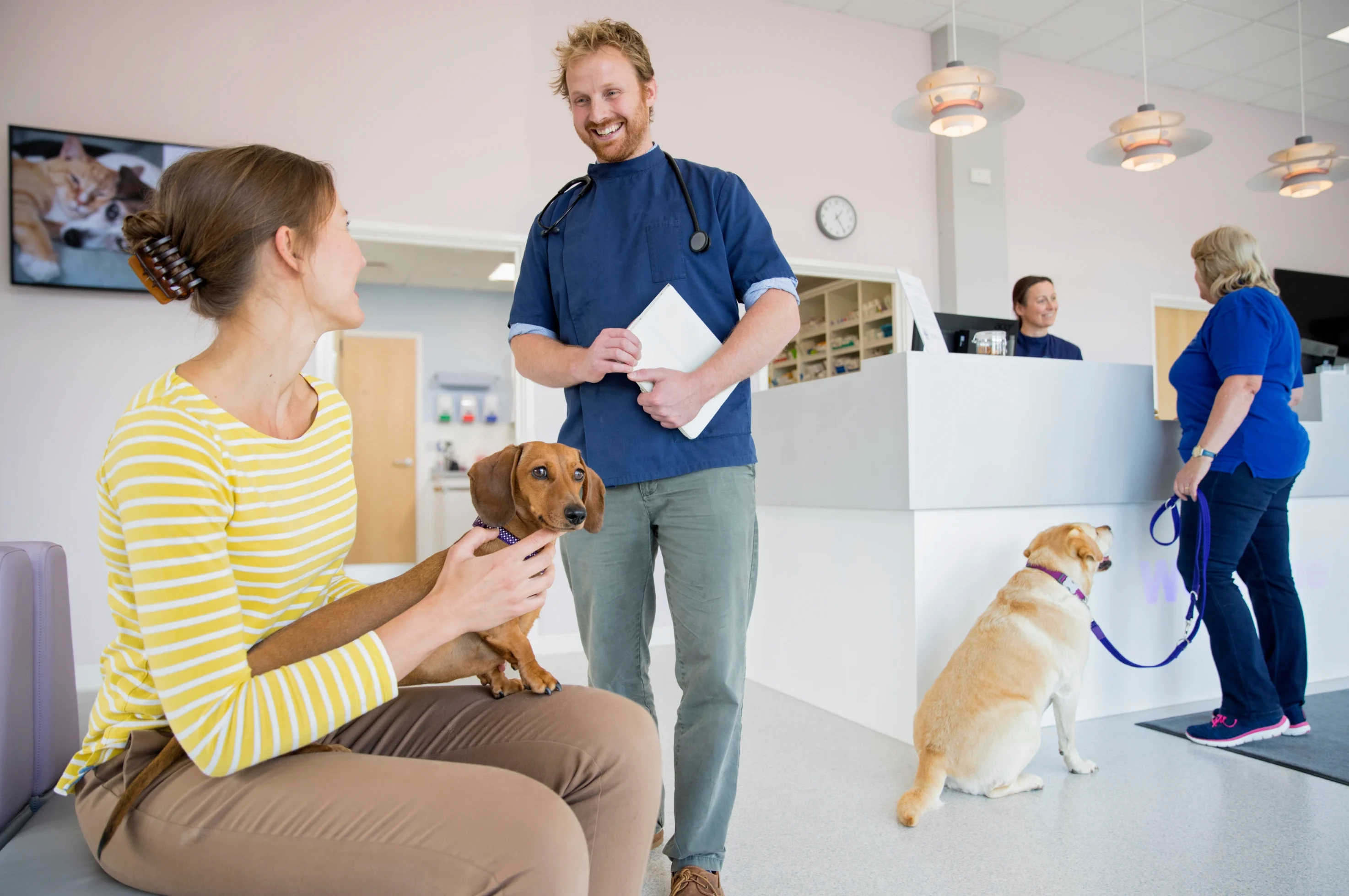 Dog with owner at vet A dog sitting on the owner's lap as the vet comes to greet them