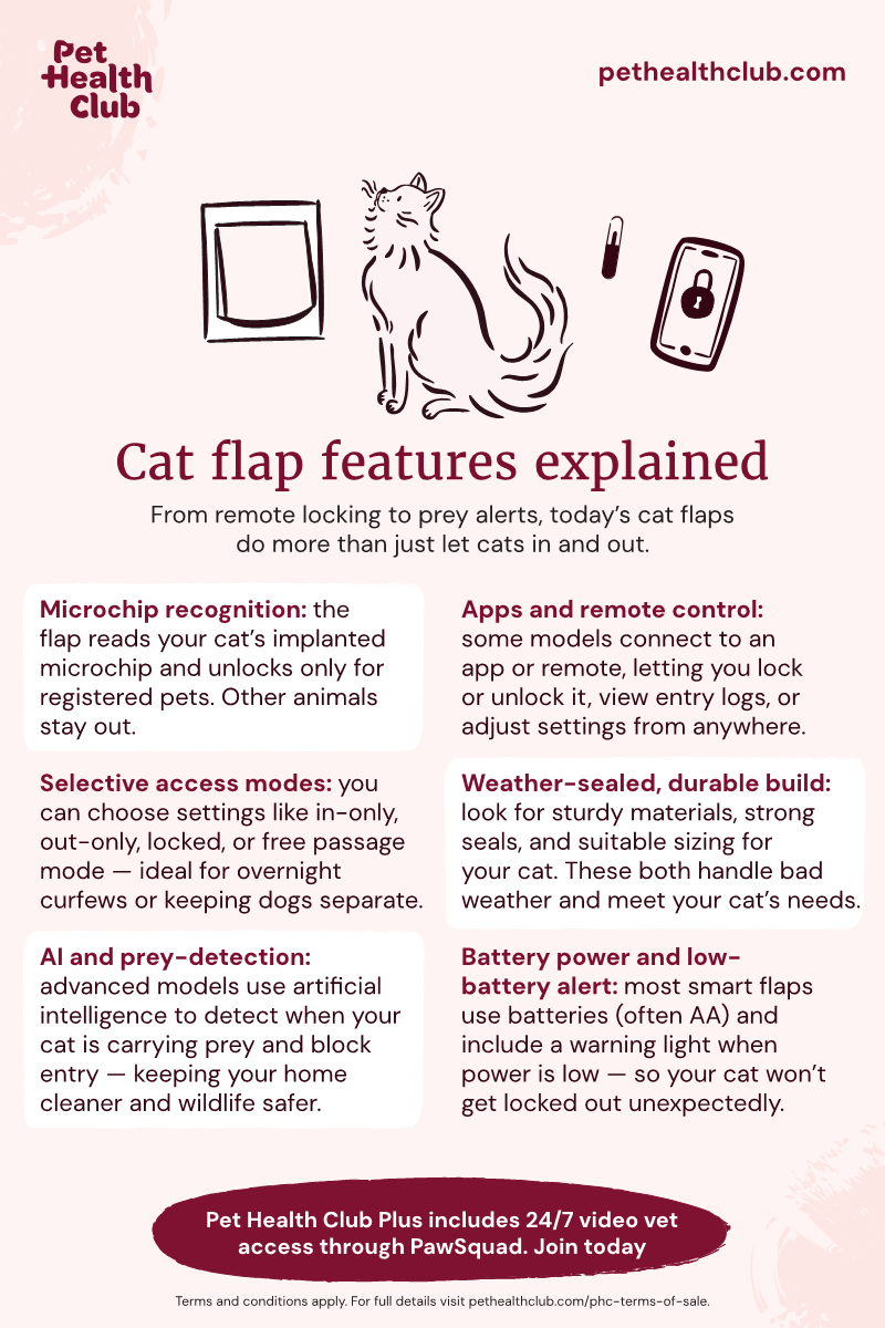 Infographic on some 'advanced' cat flap features Infographic on some 'advanced' cat flap features. A cat flap can do more than just let cats in and out — it can even use AI to stop your cat bringing prey home.