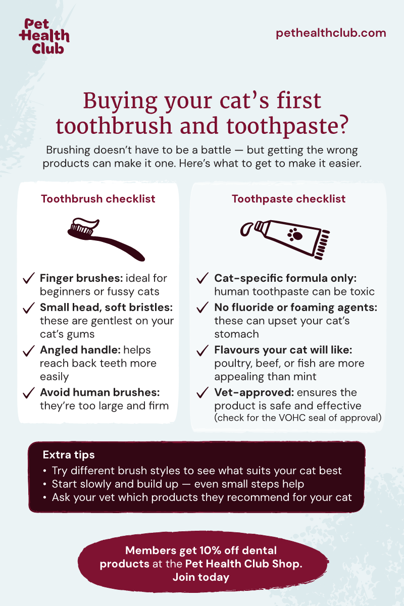 Pet Health Club infographic on your first cat toothbrush and toothpaste Pet Health Club infographic on what to look for when buying your cat's first toothbrush and toothpaste