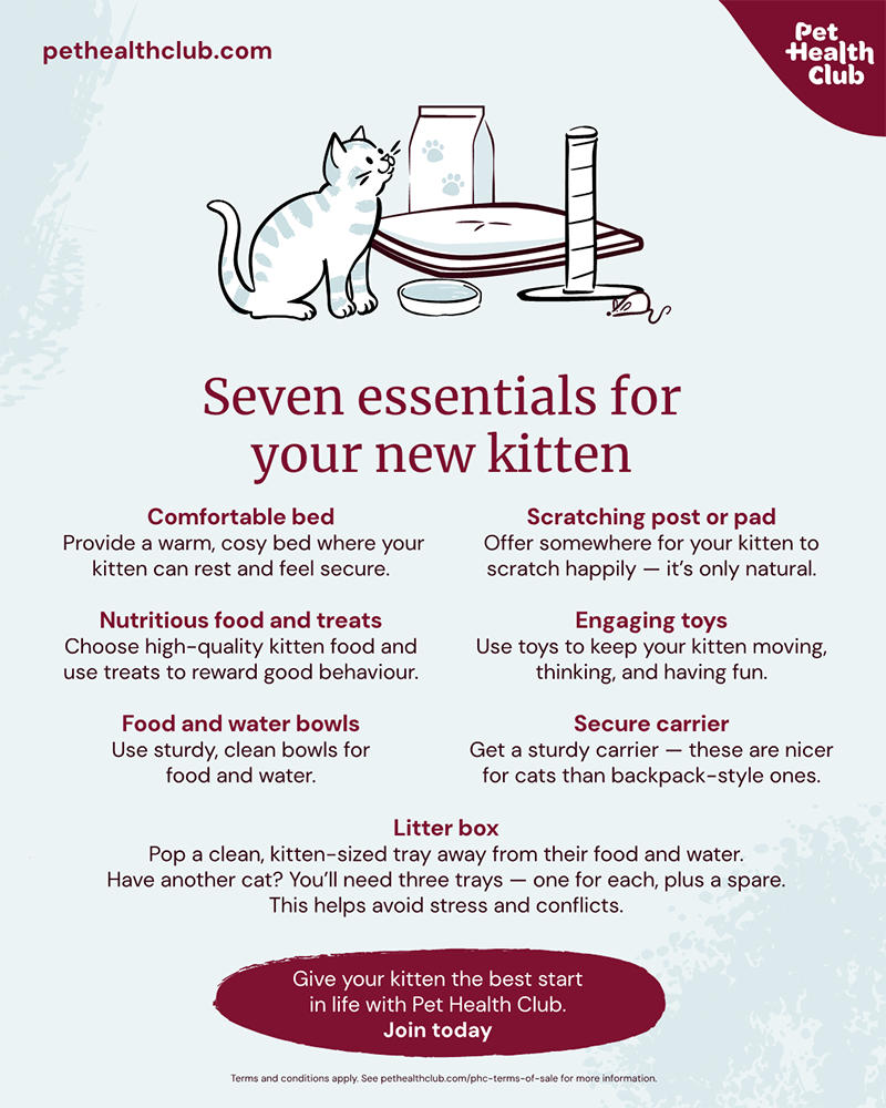 Pet Health Club infographic on new kitten essentials Infographic listing seven new kitten essentials: a comfy bed, a scratching post, food and treats, toys, bowls for food and water, a sturdy carrier, and a litter box.