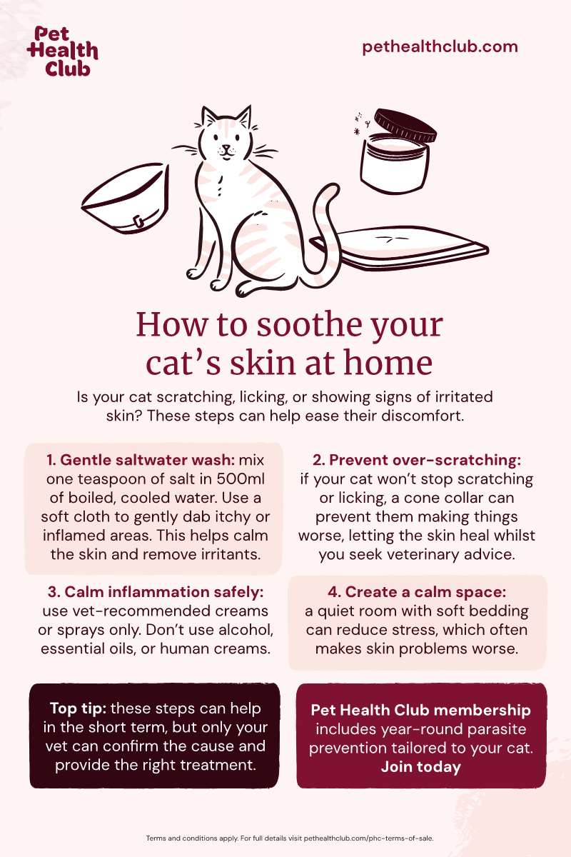 Pet Health Club infographic on how to soothe your cat's irritated skin at home Does your cat have irritated skin? This infographic has four tips to soothe them while you are waiting for vet care.
