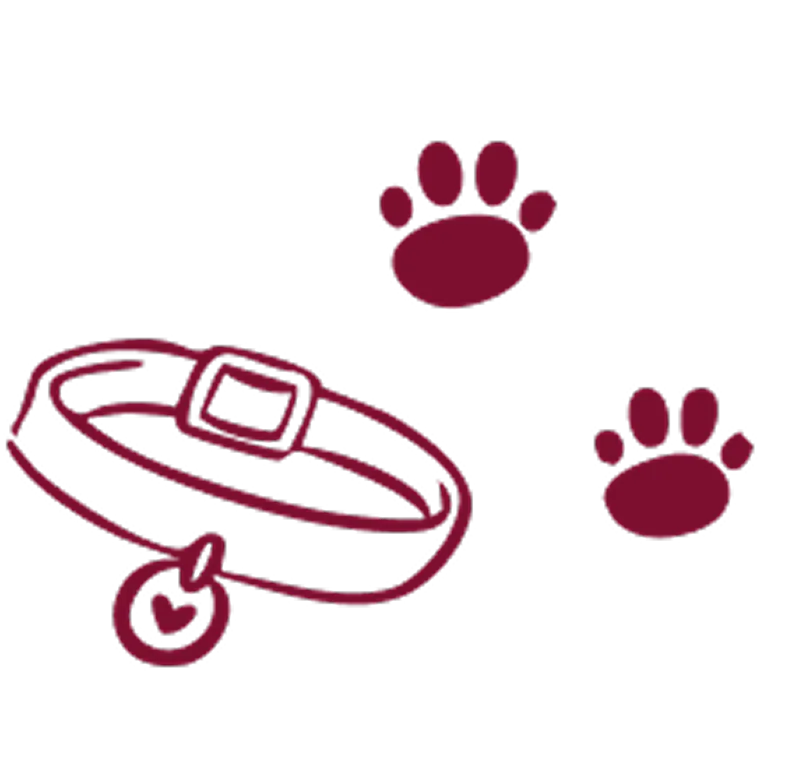 paw icon CA paw icon