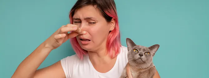 A woman reacting to her stinky cat A woman holding her nose, put off by the smell of bad cat breath