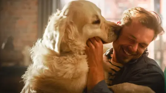 shutterstock 2209548029 (1)-min (2) Labrador kissing man