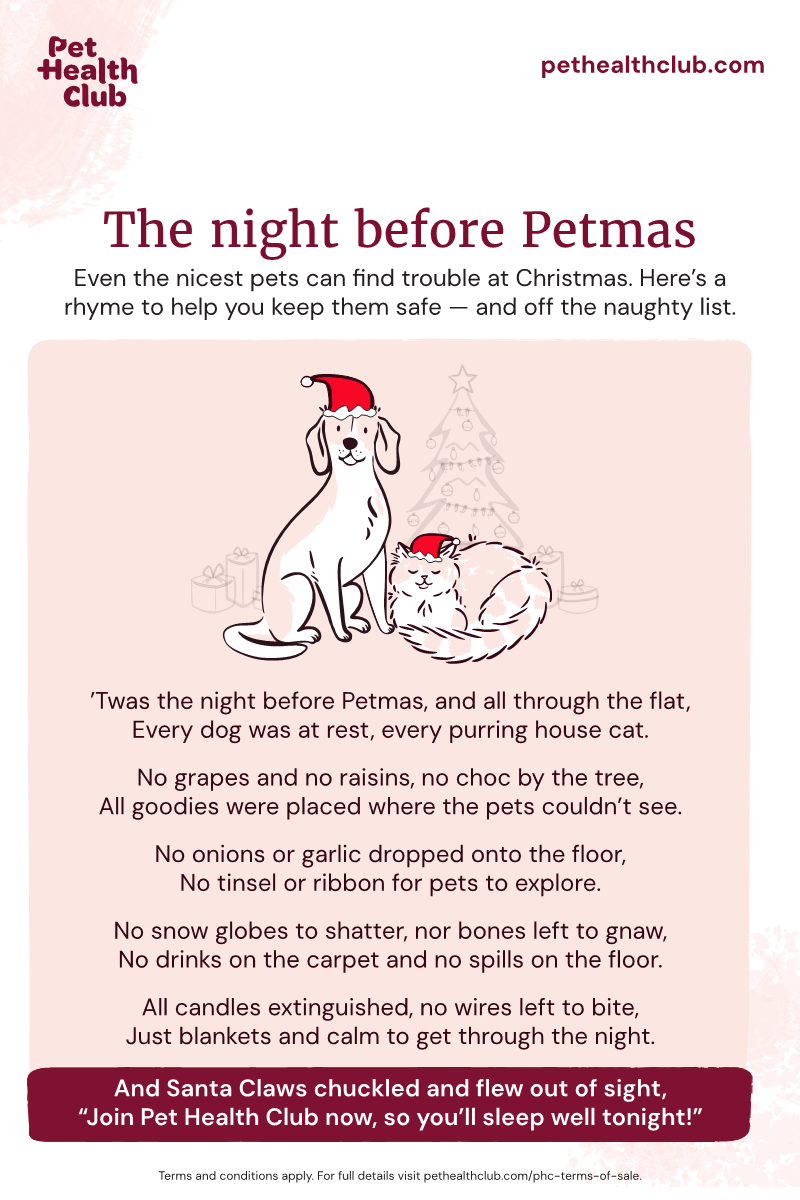Pet Health Club infographic on 'the night before Petmas' Pet Health Club infographic on 'the night before Petmas', a spoof of 'the night before Christmas', but with added expert vet advice.