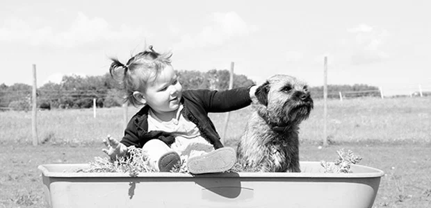 dog turns away from baby dog turns away from baby