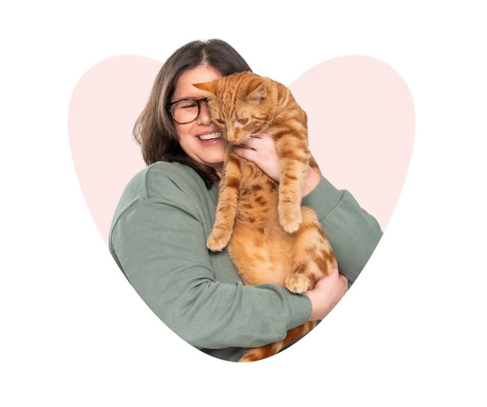 our plan hero illustrated image of dog, cat and rabbit