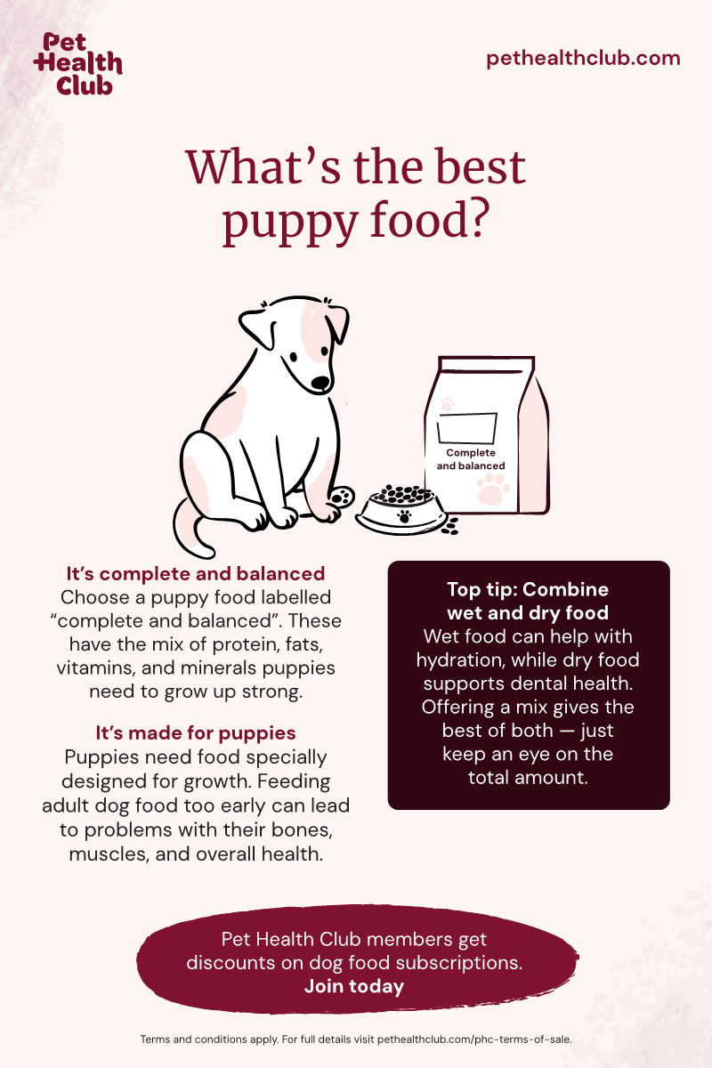 Pet Health Club infographic on the best food for puppies An infographic on the best food for puppies. It covers the importance of getting a 'complete and balanced' diet made specially for puppies, and that it's a good idea to give puppies a mix or wet and dry food.
