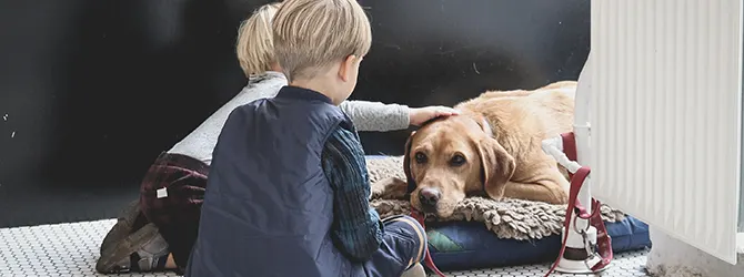 Should I get a dog? 11 scientific reasons to say yes Image of family with dog for article on should I get a dog
