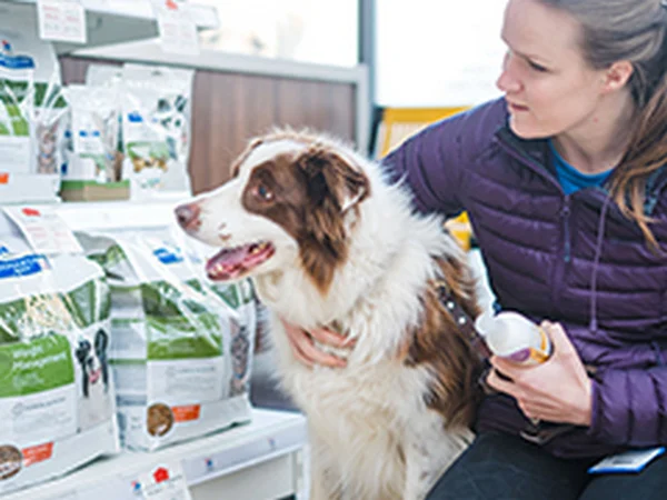 image for article on benefits of a dog health care plan image for article on benefits of a dog health care plan