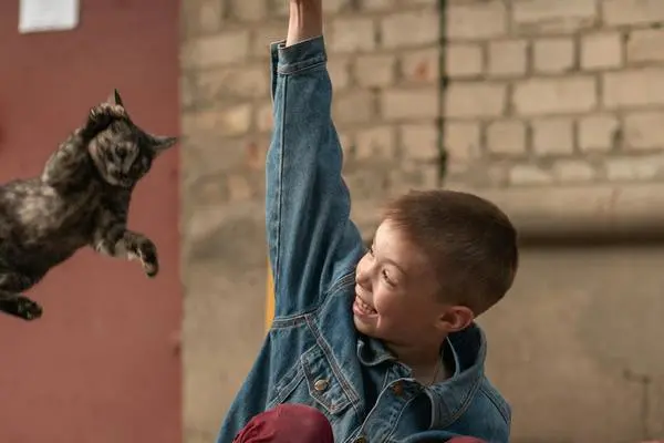 Image of a cat jumping for facts about cats Image of a cat jumping for facts about cats