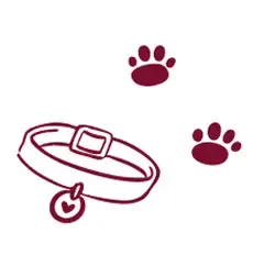 Collar and Paw Graphic collar and paw icons