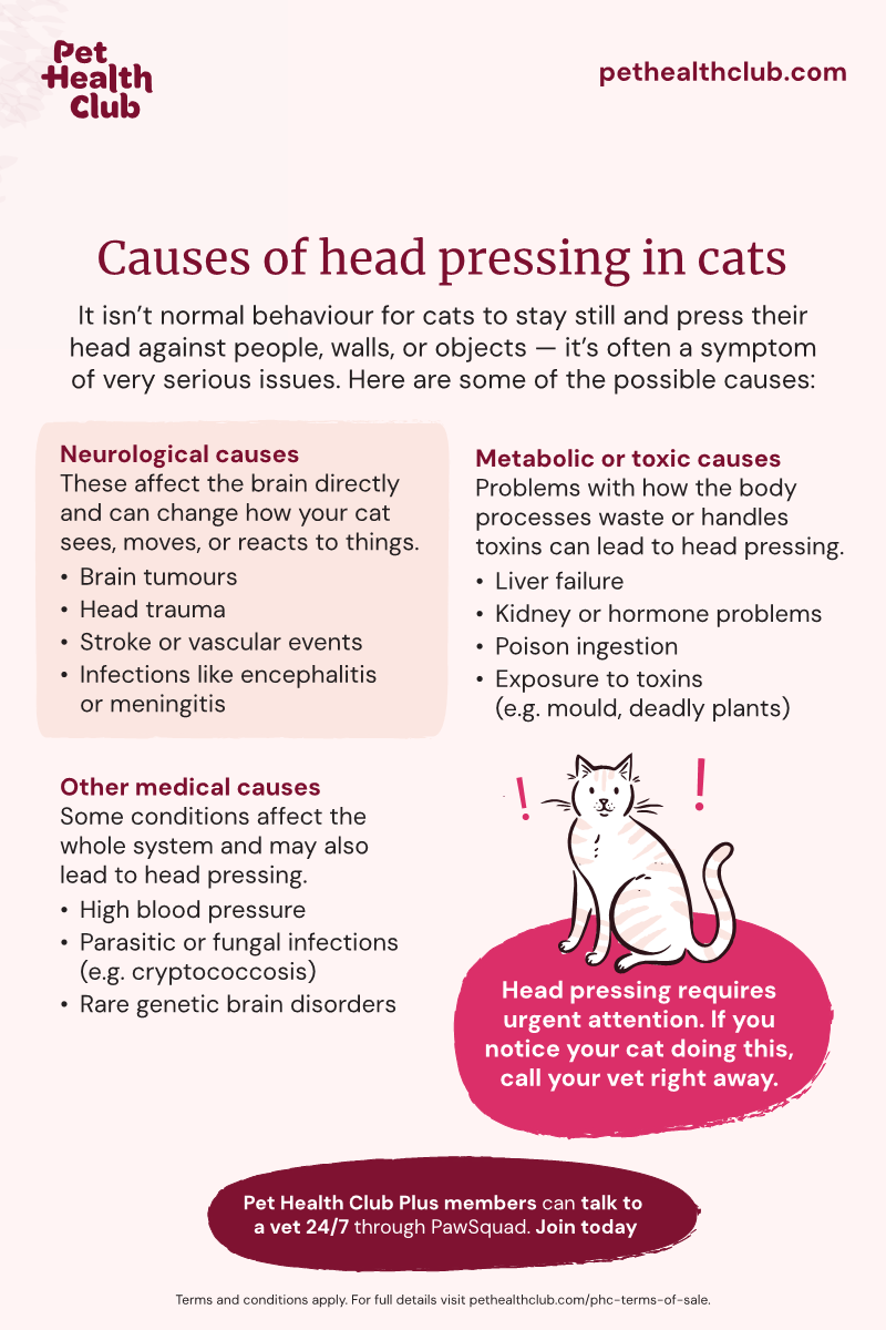 Pet Health Club infographic on the causes of head pressing in cats Infographic covering the causes of head pressing in cats, including neurological causes, metabolic or toxic causes, and more.