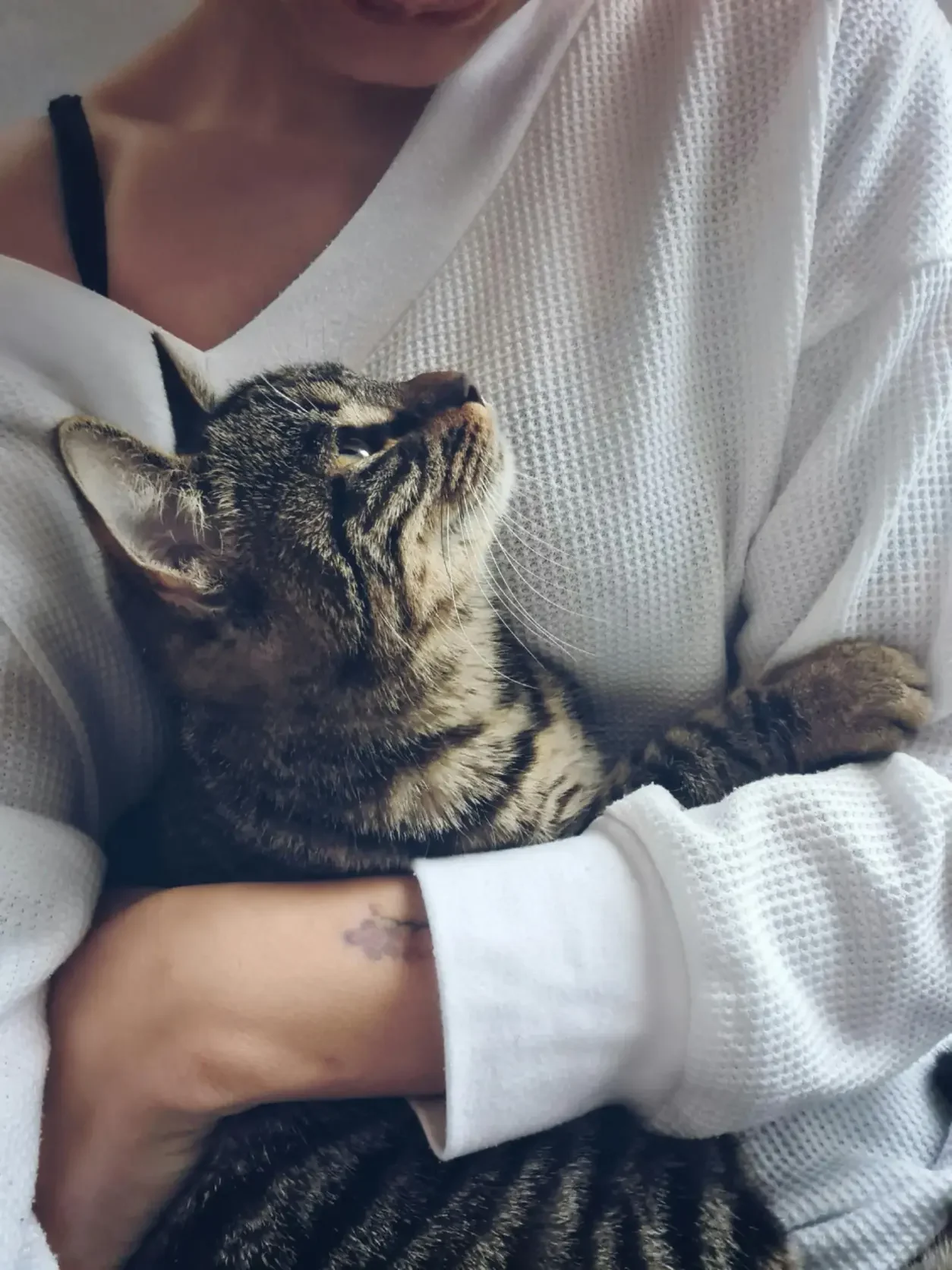 Unlimited Vet Promo Image (smaller) Cat hugging owner