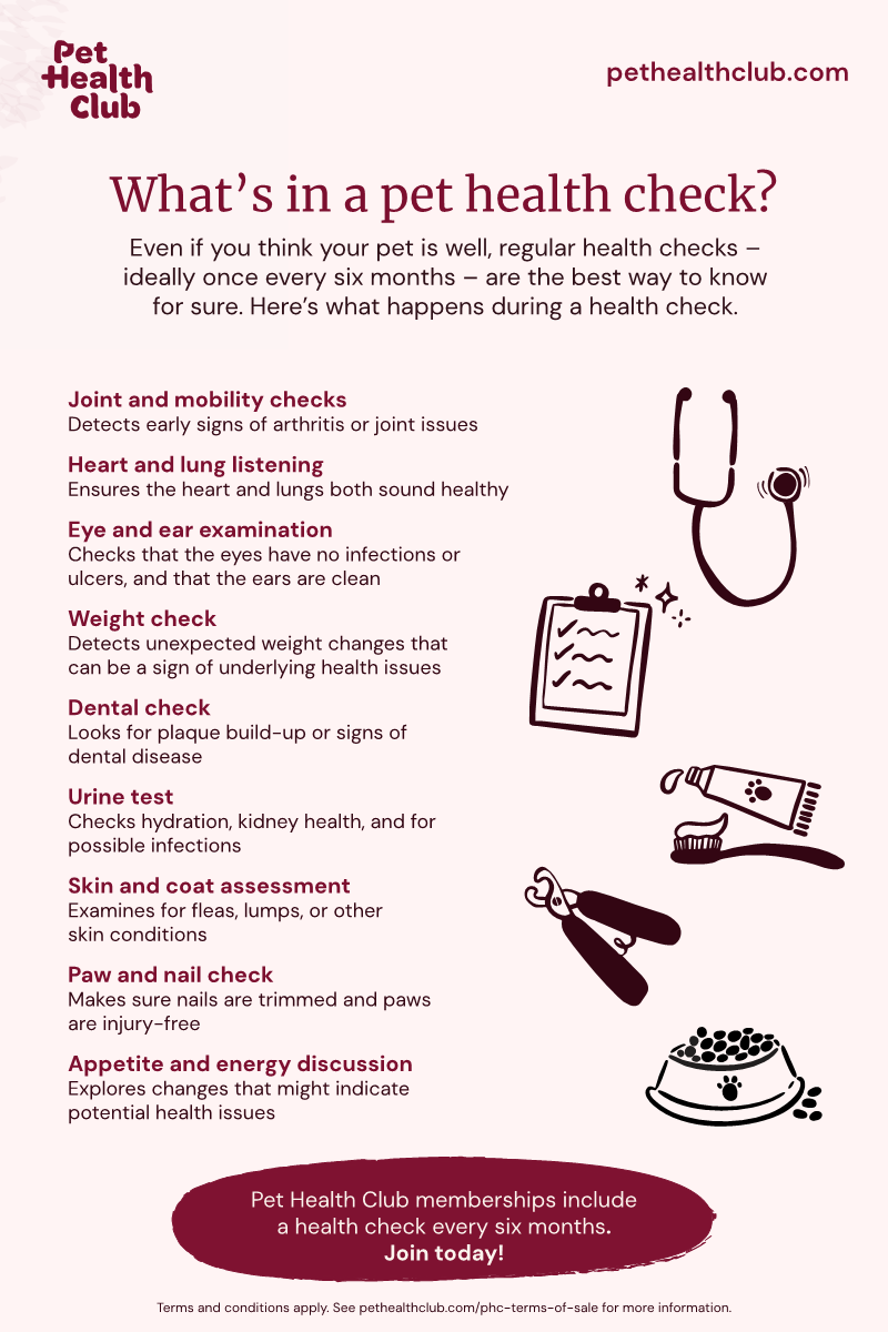 Infographic outlining the key benefits of pet health checks, including mobility and dental checks, urine and weight tests, and eye and ear exams. Infographic outlining the key benefits of pet health checks, including mobility and dental checks, urine and weight tests, and eye and ear exams.