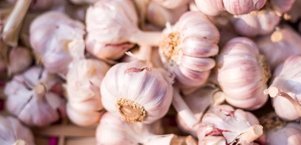 lots of garlic lots of garlic