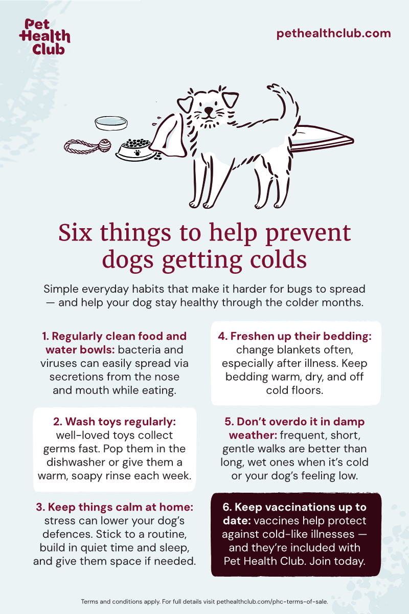 Pet Health Club infographic with six top tips to stop dogs from catching colds Infographic with six top tips on preventing dogs from getting colds
