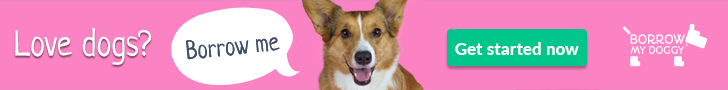 borrow my doggy promo banner borrow my doggy promo 'love dogs? borrow me'