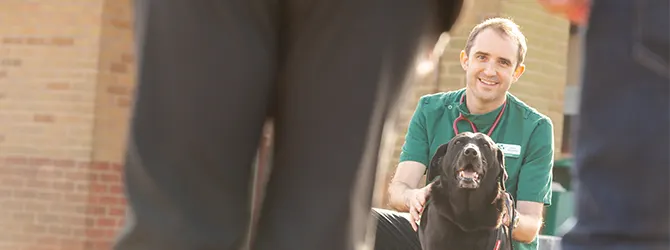 Conjunctivitis In Dogs - Pink Eye In Dogs Conjunctivitis in dogs