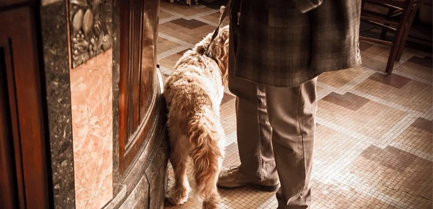 dog on the lead in a pub for articles on UK holidays with dogs dog on the lead in a pub for articles on UK holidays with dogs