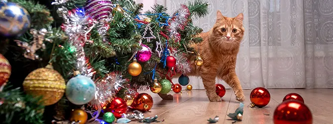 Christmas cat hazards Photo of a ginger cat next to a toppled Christmas tree decorated with colourful ornaments, illustrating common holiday challenges for pet owners