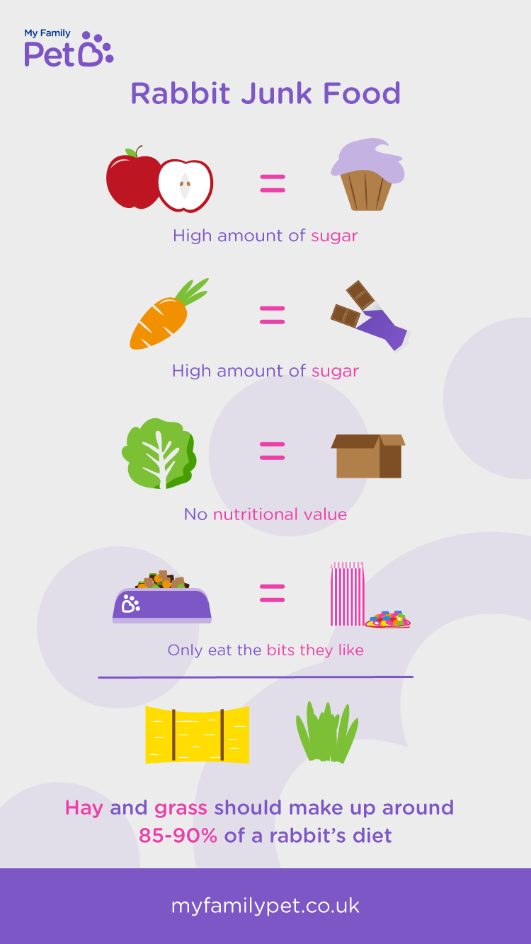 rabbit-eats.png infographic