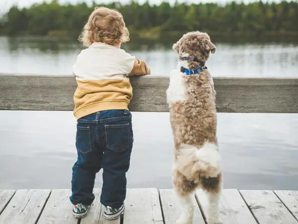 Image of a toddler and dog for article on dog facts Image of a toddler and dog for article on dog facts