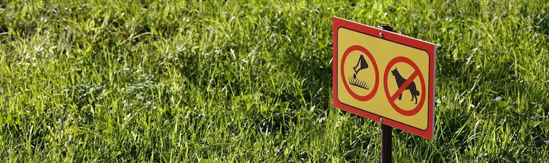 Is weed killer safe for dogs? dog lying on grass for article on is weed killer safe for dogs