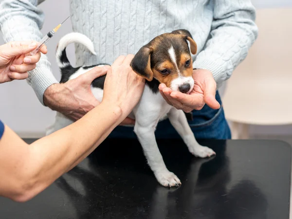 pet health care plans pet health care plans