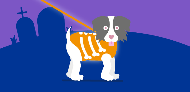 halloween_infographics_2019-for-article-08.png Small image of dog with orange leash, orange skeleton vest in a cemetery