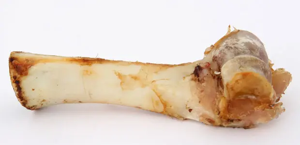 cooked bone cooked bone