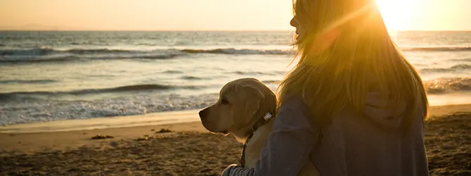 15 beach tips for dog owners Image of owner and dog on the beach