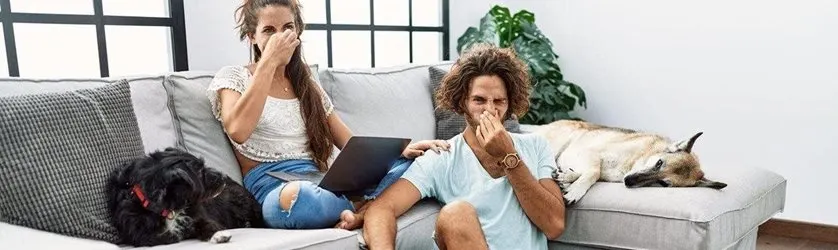 How to get rid of bad breath in dogs Image of dog and toothbrush for article on dogs bad breath