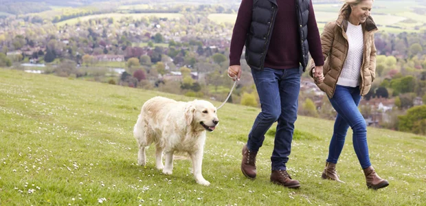 Couple walking dog for article on money saving tips for dog owners Couple walking dog for article on money saving tips for dog owners