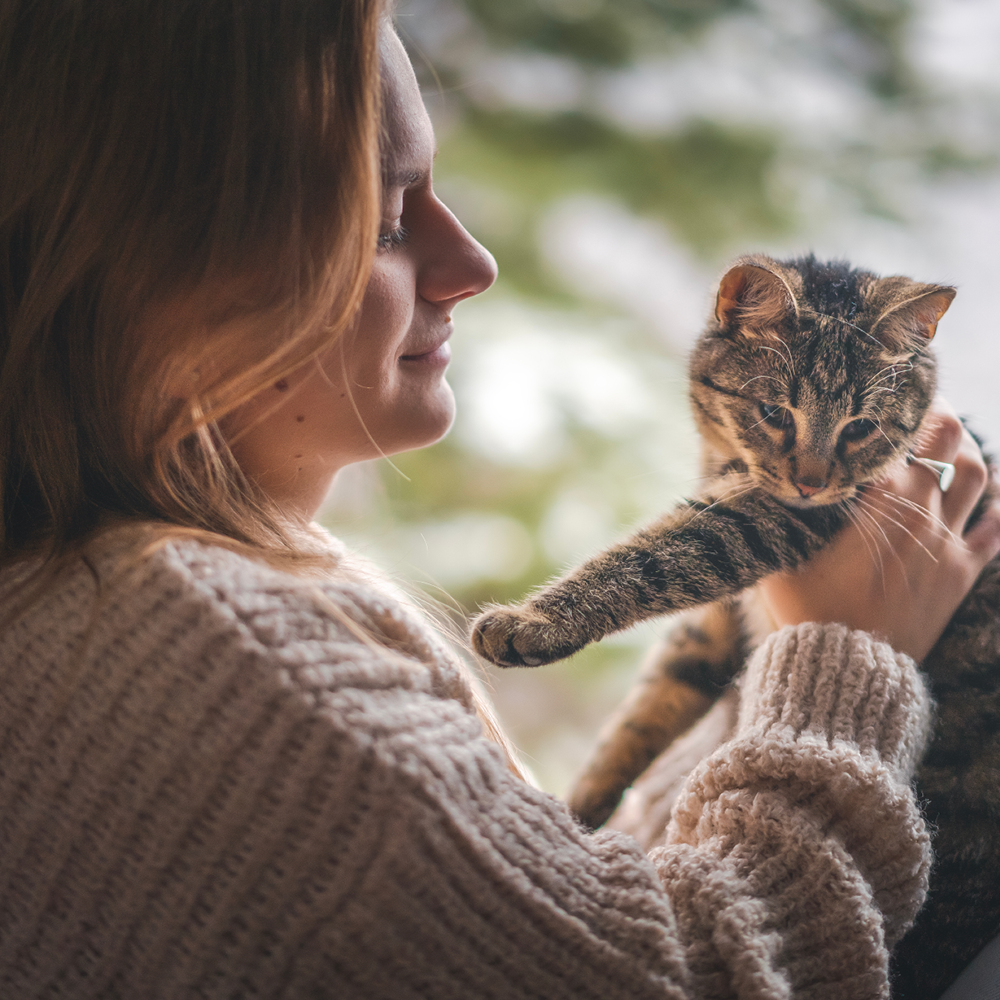 Chat et jeune femme Jeune femme tenant son chat