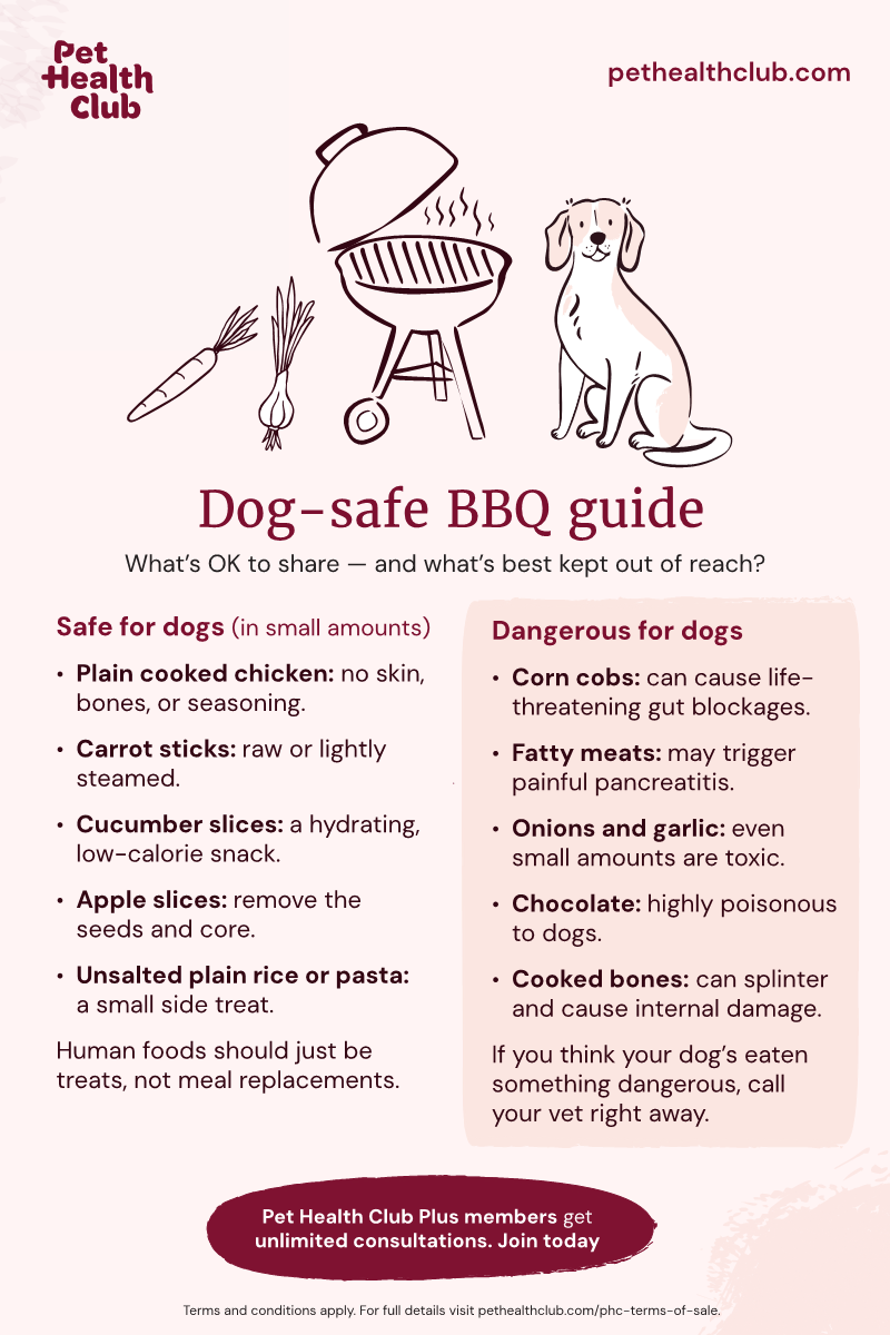 Pet Health Club infographic on what BBQ foods are safe for dogs An infographic on what a dog can and can't eat at a BBQ. There are plenty of safe options, like carrot sticks and apple slices, but also unsafe ones, like onions and garlic.