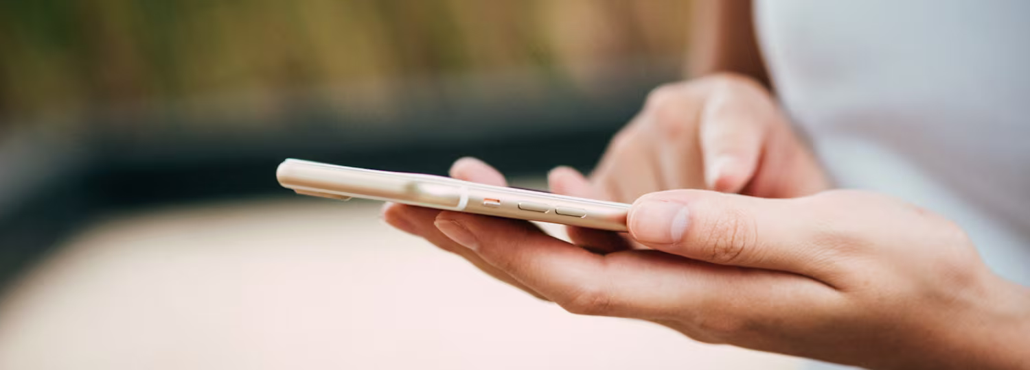 wyszukiwanie informacji o zakazie sprzedazy wkladow smakowych