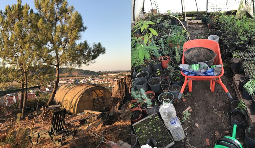 Tree nursery for São Luís. 
In 2019, the artist and his collective help the village to get a tree nursery to develop the collective forest. Land-Owners can come and take trees for their land and pedagogic actions are made by Gaia Alentejo association. 