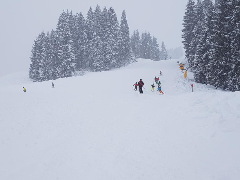 Bild für die Veranstaltung Skikurs 2017