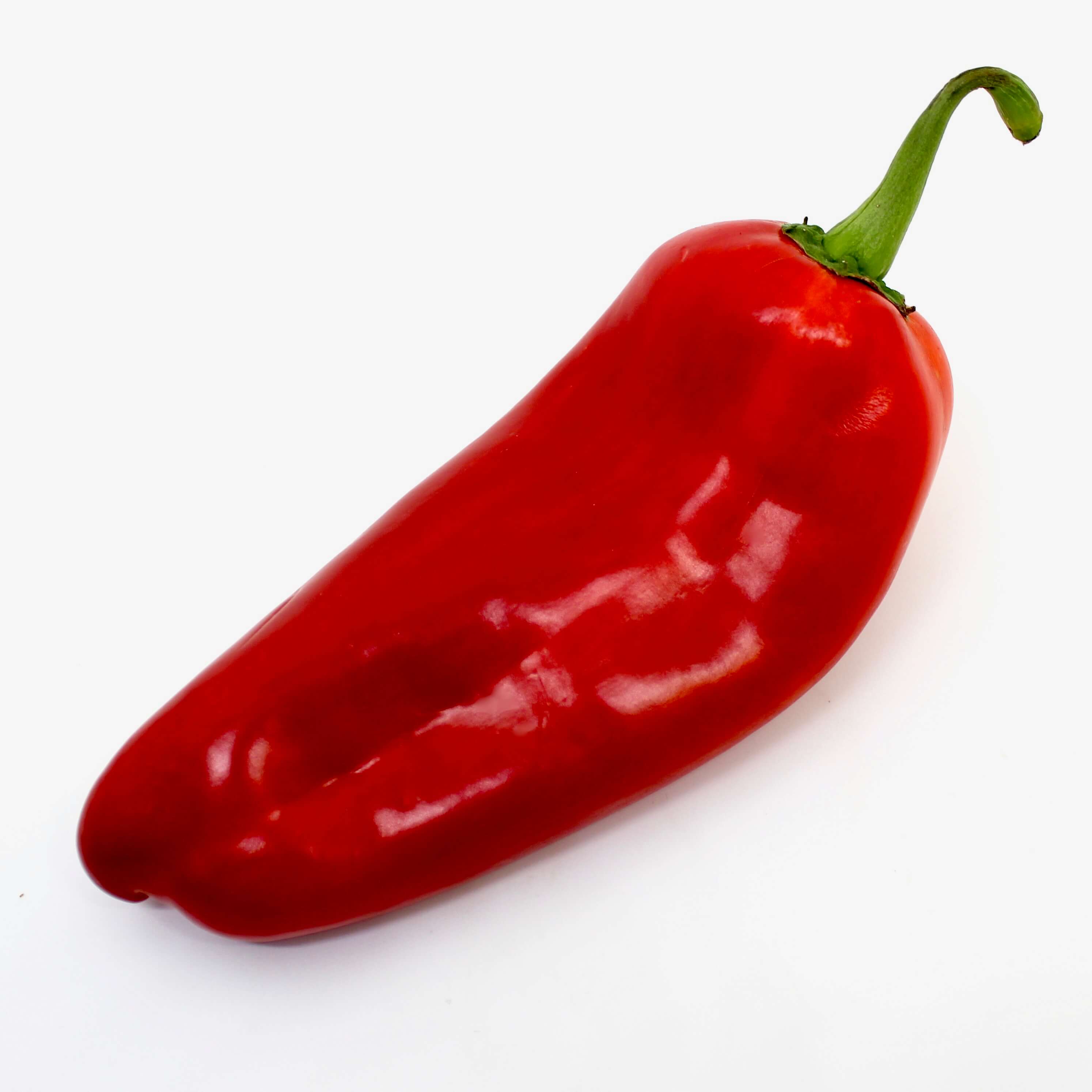 Ancient Sweet Pepper Red sweet pepper on a white background