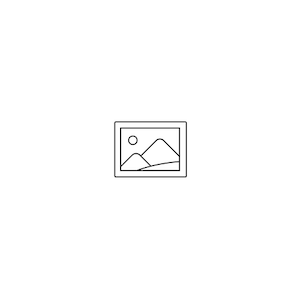 Placeholder Placeholder