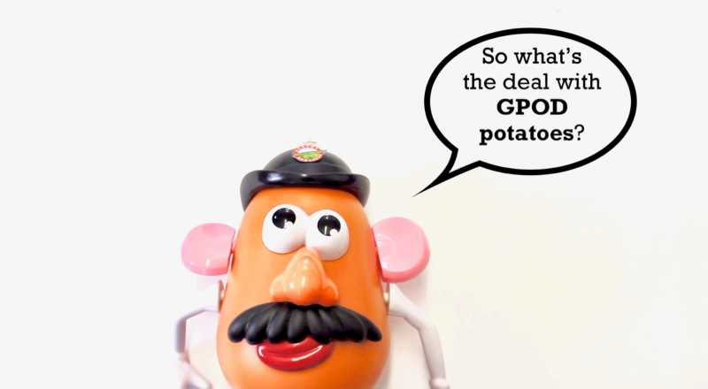 Mr. Potato Head Speech Bubble