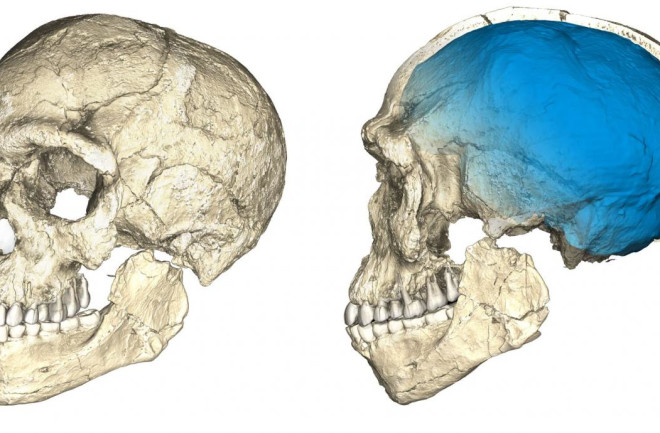 Jebel Irhoud 1. Homo Sapiens