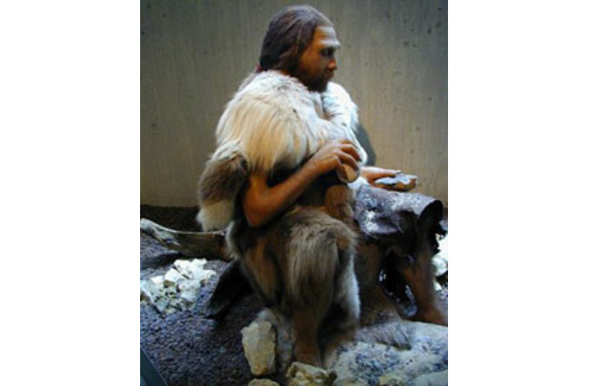 neandertal220.jpg