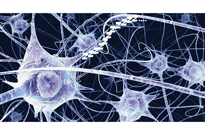 Sleepy_neuron.jpg