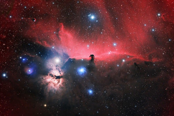 The Horsehead Nebula in Orion: An Unbridled Look