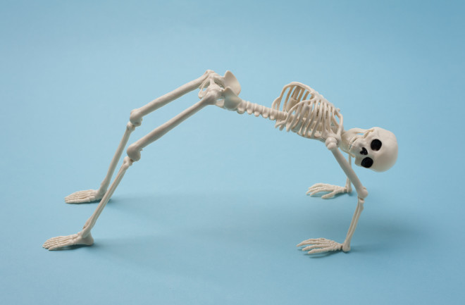 model skeleton stretched into a backbend pose blue background