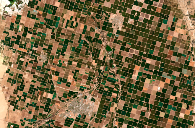 shutterstock 1769561972