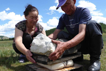 What Mongolia's Dairy Farmers Have to Teach Us About the Hidden History of Microbes